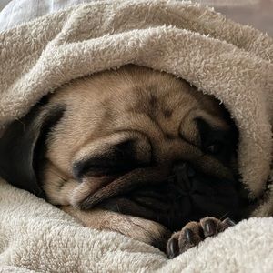 Meet your Posher, Ganna